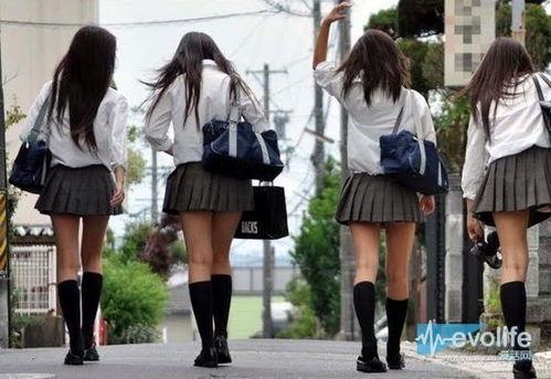 女子高中生,女子高中生的青春足迹