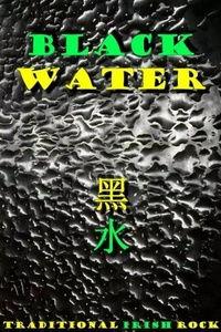 黑水巷,历史沉淀与都市变迁的交汇点